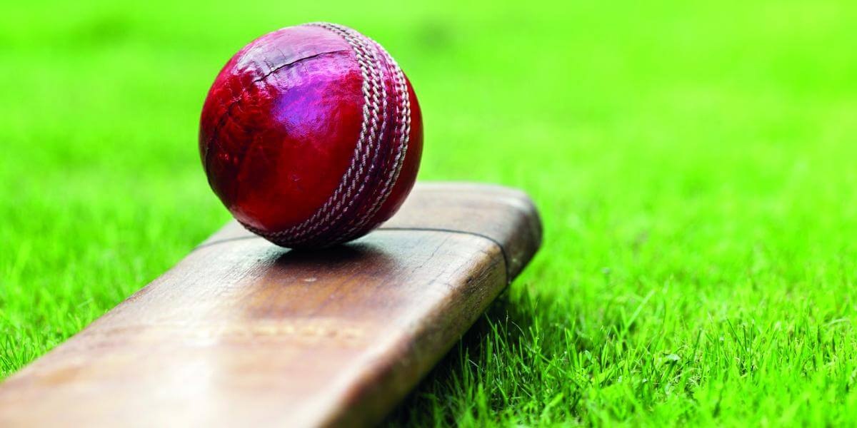 Fantasy cricket concept illustration